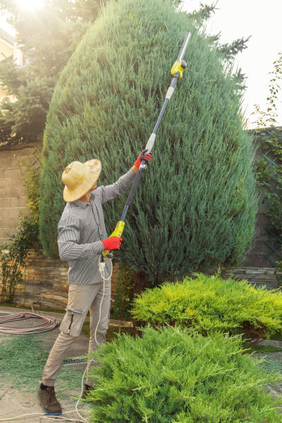 Leaf Removal in Baton Rouge, LA